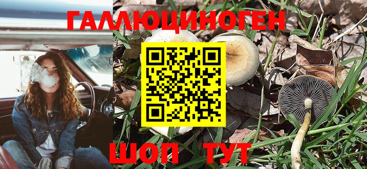 Псилоцибиновые грибы Psilocybe  Вход с VPN  Муром  Галлюциногенные грибы ЛСД 