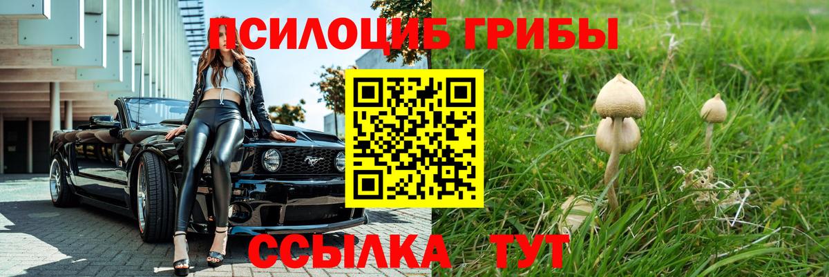 Галлюциногенные грибы мухоморы Муром